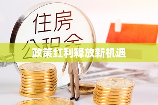 朴子政策红利释放新机遇
