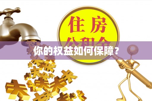 朴子你的权益如何保障？