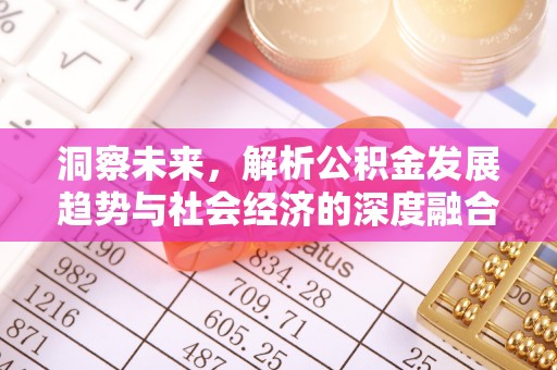 朴子洞察未来，解析公积金发展趋势与社会经济的深度融合