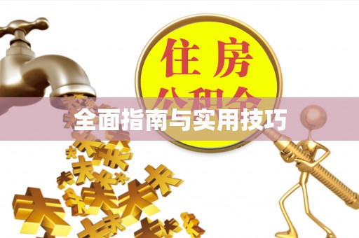 朴子全面指南与实用技巧
