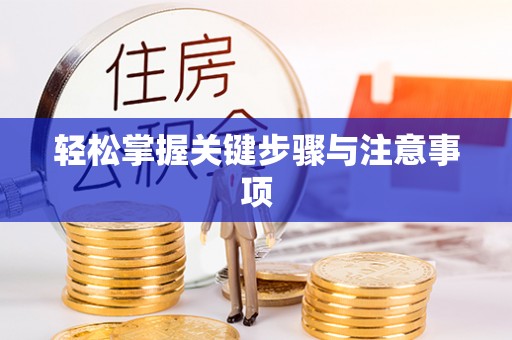 朴子轻松掌握关键步骤与注意事项