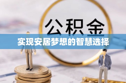 朴子实现安居梦想的智慧选择
