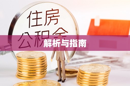 朴子解析与指南