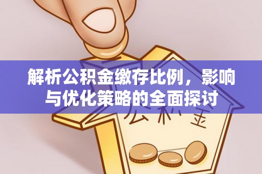 朴子解析公积金缴存比例，影响与优化策略的全面探讨