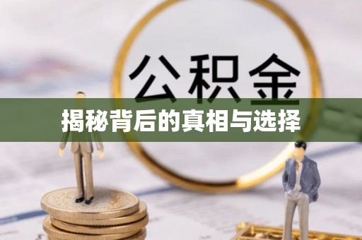 朴子揭秘背后的真相与选择