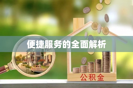 朴子便捷服务的全面解析