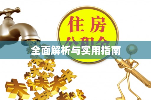 朴子全面解析与实用指南