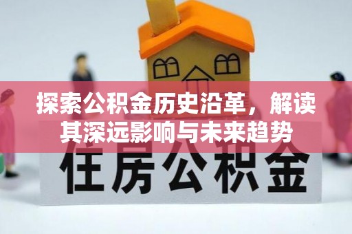 朴子探索公积金历史沿革，解读其深远影响与未来趋势