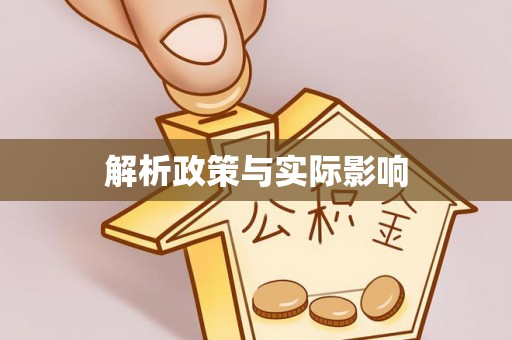 朴子解析政策与实际影响