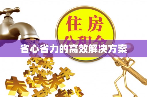 朴子省心省力的高效解决方案