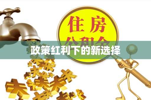 朴子政策红利下的新选择