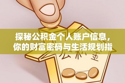 朴子探秘公积金个人账户信息，你的财富密码与生活规划指南