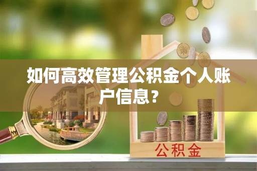 朴子如何高效管理公积金个人账户信息？