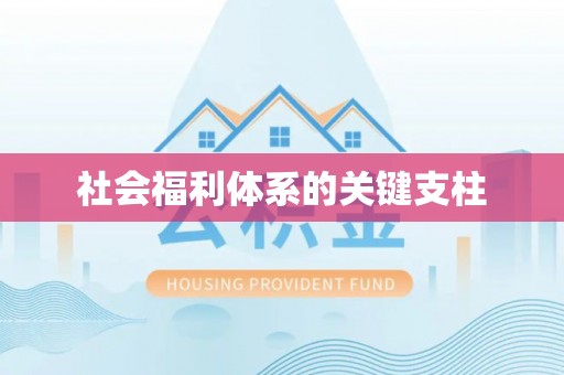 朴子社会福利体系的关键支柱