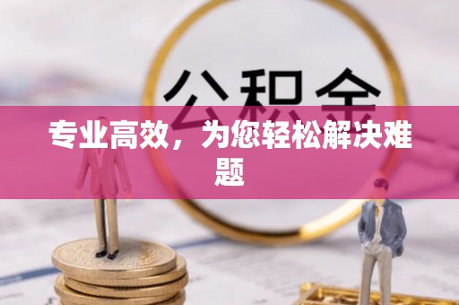 朴子专业高效，为您轻松解决难题