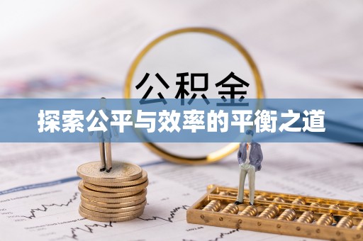 朴子探索公平与效率的平衡之道