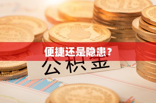 朴子便捷还是隐患？
