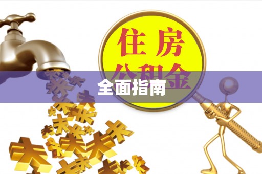 朴子全面指南