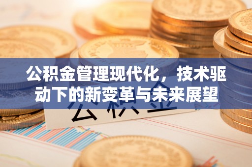 朴子公积金管理现代化，技术驱动下的新变革与未来展望