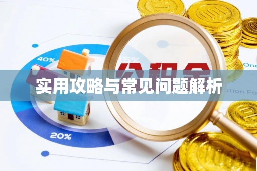 朴子实用攻略与常见问题解析