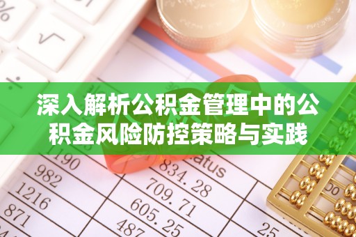 朴子深入解析公积金管理中的公积金风险防控策略与实践