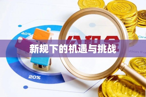 朴子新规下的机遇与挑战