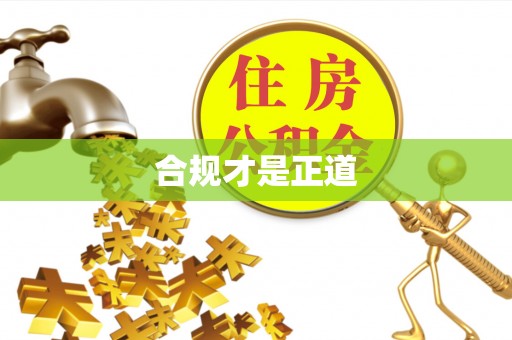 朴子合规才是正道