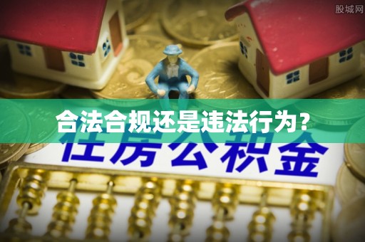 朴子合法合规还是违法行为？