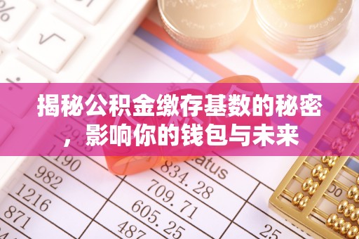 朴子揭秘公积金缴存基数的秘密，影响你的钱包与未来
