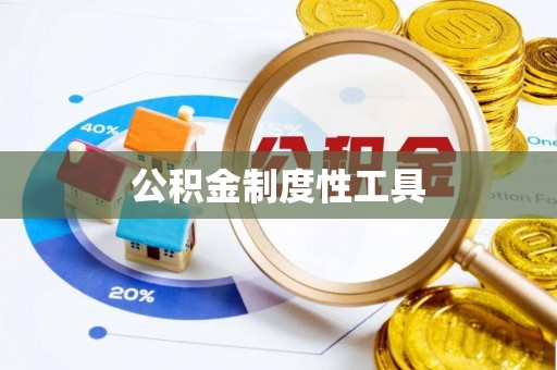 朴子公积金制度性工具