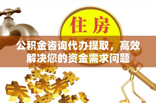 朴子公积金咨询代办提取，高效解决您的资金需求问题