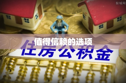 朴子值得信赖的选项