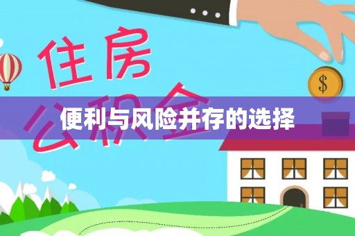 朴子便利与风险并存的选择