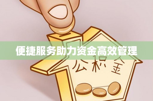 朴子便捷服务助力资金高效管理