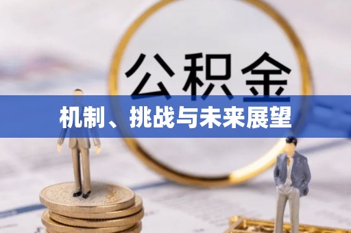 朴子机制、挑战与未来展望