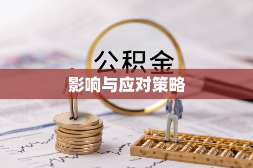 朴子影响与应对策略
