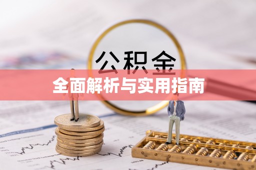 朴子全面解析与实用指南