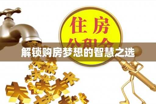 朴子解锁购房梦想的智慧之选