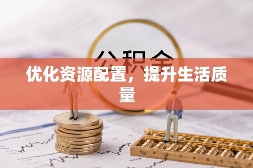 朴子优化资源配置，提升生活质量