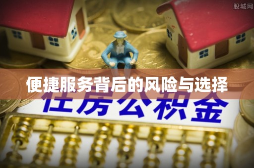 朴子便捷服务背后的风险与选择