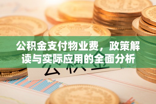 朴子公积金支付物业费，政策解读与实际应用的全面分析