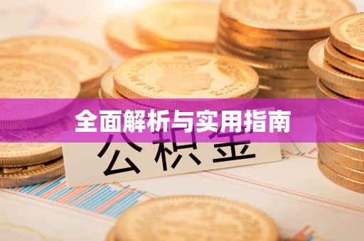 朴子全面解析与实用指南