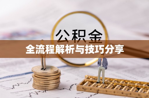 朴子全流程解析与技巧分享