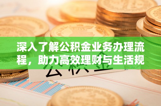 朴子深入了解公积金业务办理流程，助力高效理财与生活规划