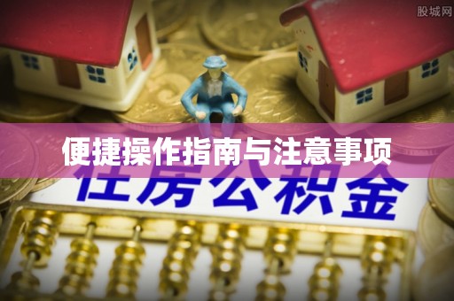 朴子便捷操作指南与注意事项