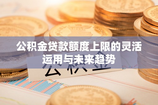 朴子公积金贷款额度上限的灵活运用与未来趋势