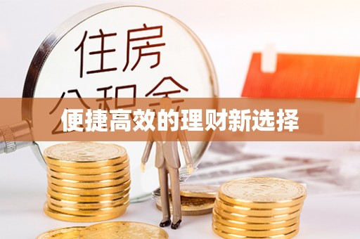 朴子便捷高效的理财新选择