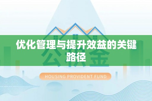 朴子优化管理与提升效益的关键路径