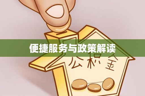 朴子便捷服务与政策解读