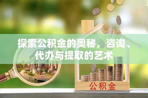 朴子探索公积金的奥秘，咨询、代办与提取的艺术